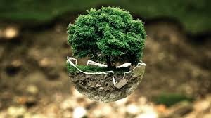 images (3)