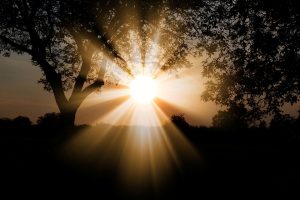 sun-3130638_960_720