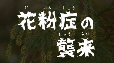 花粉症対策～毎年やっている花粉対策４選～